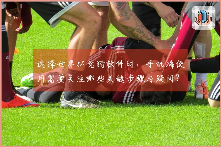 选择世界杯竞猜软件时，手机端使用需要关注哪些关键步骤与疑问？