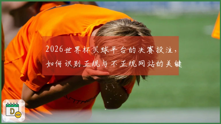 2026世界杯买球平台的决赛投注,如何识别正规与不正规网站的关键要素