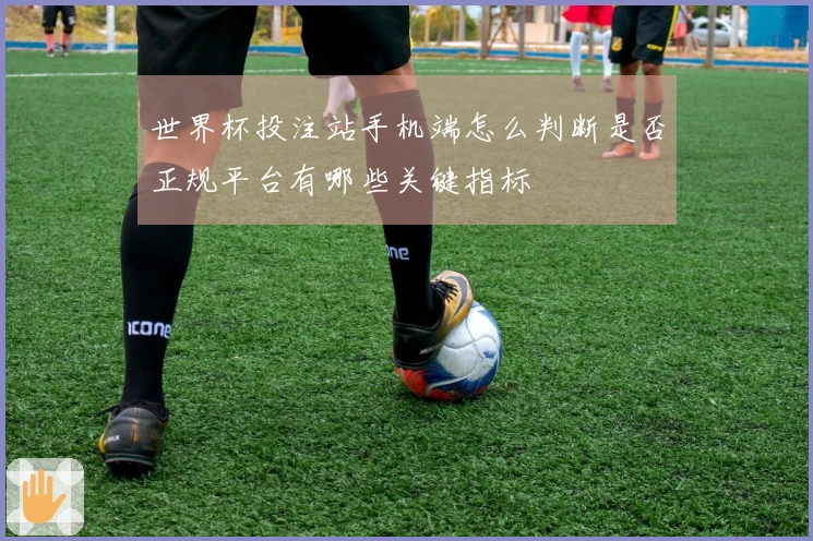 世界杯投注站手机端怎么判断是否正规平台有哪些关键指标