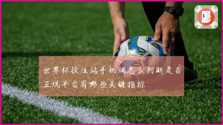 世界杯投注站手机端怎么判断是否正规平台有哪些关键指标