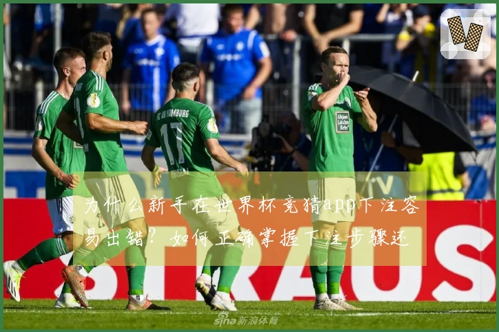 为什么新手在世界杯竞猜app下注容易出错?如何正确掌握下注步骤还是避免踩坑